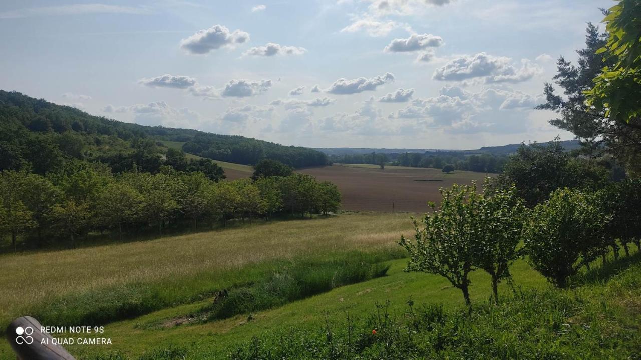 Villa Ferme Du Bois Du Pouget La Salvetat-Belmontet Esterno foto